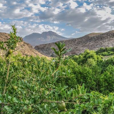 روستای تمین